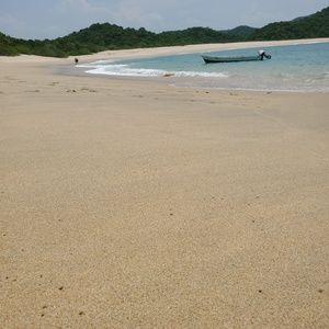 Meet your Posher, Nanci